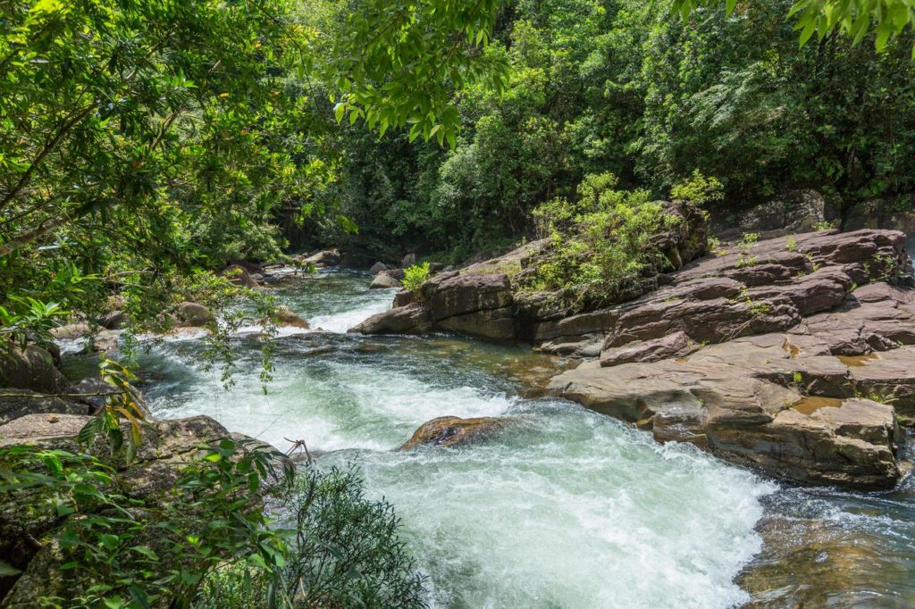 Rafting na divoké řece v oblasti Kilthulgala na Srí Lance
