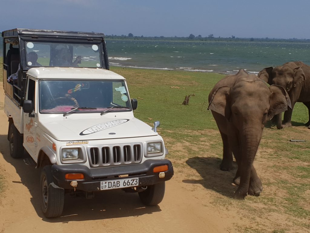 Sri lanka s českým průvodcem - Yala / Udawalawe