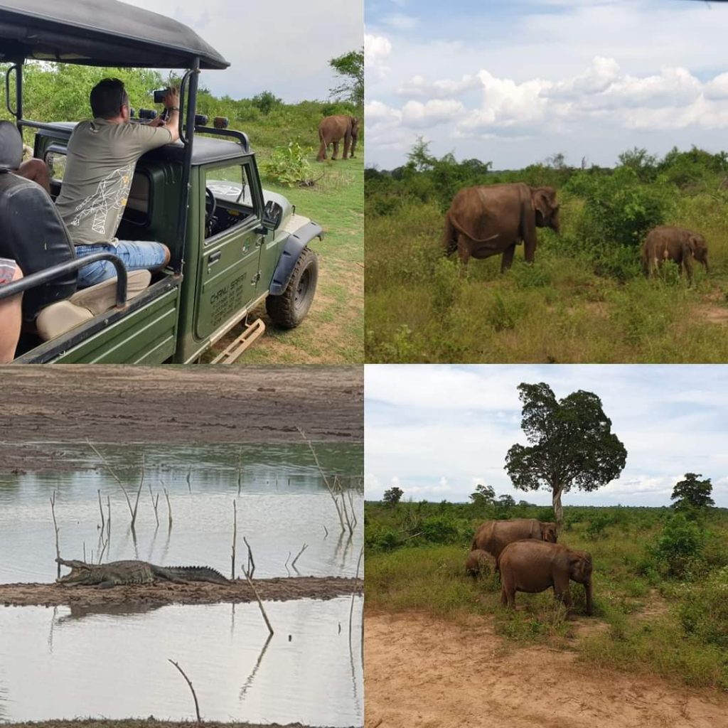 Sri lanka s českým průvodcem - Yala / Udawalawe