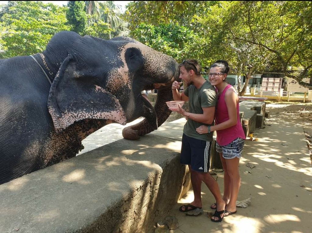 Sri lanka s českým průvodcem - 3 denní poznávací zájezd Srí Lankou