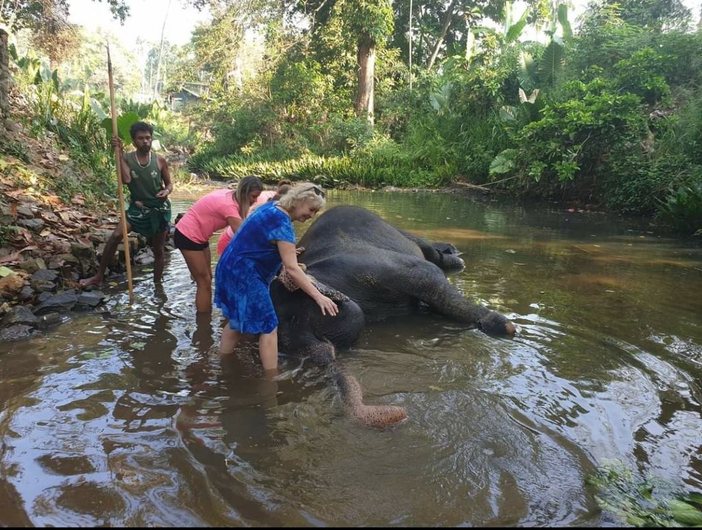 Sri lanka s českým průvodcem - 3 denní poznávací zájezd Srí Lankou