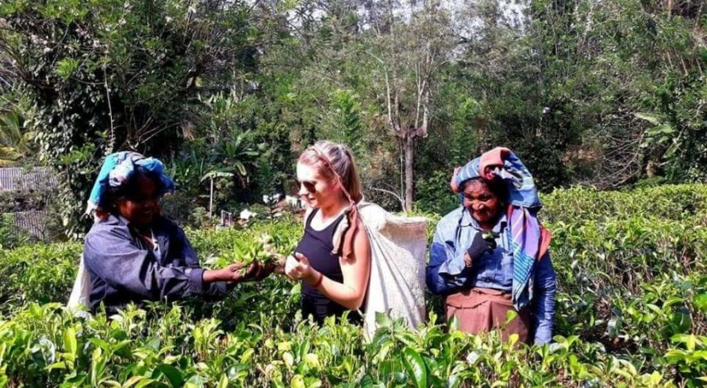 Sri lanka s českým průvodcem - 5 denní poznávací zájezd Srí Lankou